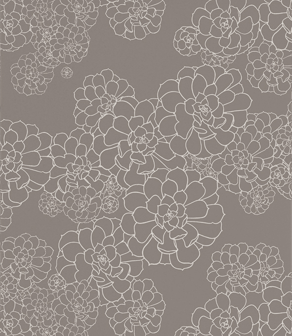 Обои Paint and Paper Library Tresco Aeonium Monument 0393AEMONUM